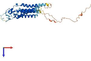 LPPR1 Protein (AA 1-325) (His tag)