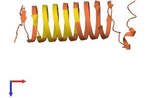 KRTAP6-2 Protein (AA 1-159) (His tag)