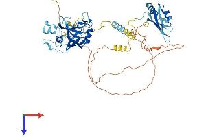 PPIL4 Protein (AA 1-492) (His tag)