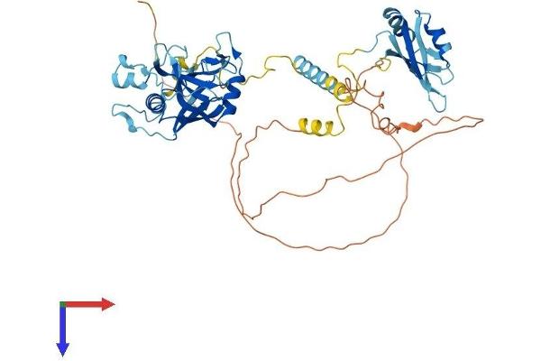 PPIL4 Protein (AA 1-492) (His tag)