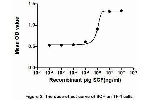The dose-effect curve of SCF was shown in Figure 2. (KIT Ligand Protein (KITLG) (AA 25-191) (His tag))