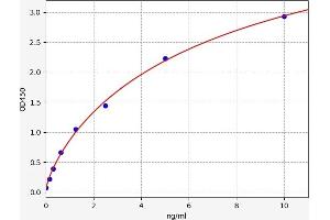 DVL1 ELISA Kit