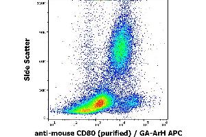 Flow cytometry surface staining pattern of murine peripheral whole blood stained using anti-mouse CD80 (16-10A1) purified antibody (concentration in sample 2 μg/mL) GAM APC.