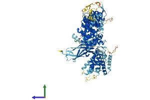 Protein Structure (PS) image for Integrator Complex Subunit 4 (INTS4) (AA 1-963) protein (His tag) (ABIN7554160)