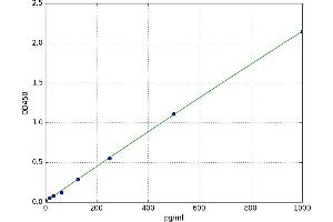 Fast Skeletal Troponin T (TNNT3) ELISA Kit