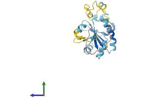 AlphaFold protein structure predicition of Human Recombinant NXNL1 Protein, UniprotID Q96CM4