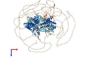 RAPGEF6 Protein (AA 1-1601) (His tag)