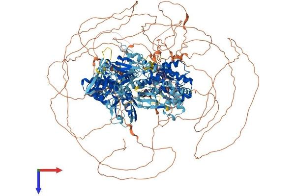 RAPGEF6 Protein (AA 1-1601) (His tag)