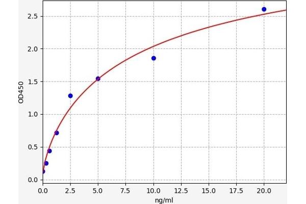 MAP2K5 ELISA Kit