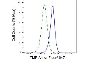 Validation of TMF knockdown using flow cytometry. (Rekombinanter TMF1 Antikörper)