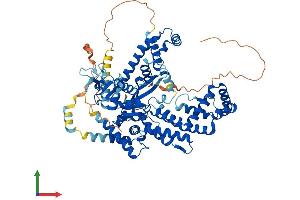 Protein Structure (PS) image for Zinc Finger, BED-Type Containing 1 (ZBED1) (AA 1-694) protein (His tag) (ABIN7545240)