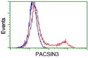 Image no. 2 for anti-Protein Kinase C and Casein Kinase Substrate in Neurons 3 (PACSIN3) antibody (ABIN1500007) (PACSIN3 Antikörper)