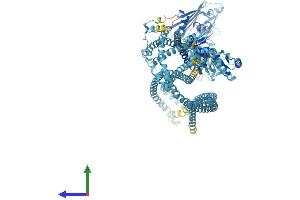 AlphaFold protein structure predicition of Human Recombinant SMC1B Protein, UniprotID Q8NDV3 (SMC1B Protein (AA 1-1235) (His tag))