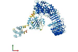 AlphaFold protein structure predicition of Mouse Recombinant Nlrp4a Protein, UniprotID Q8BU40