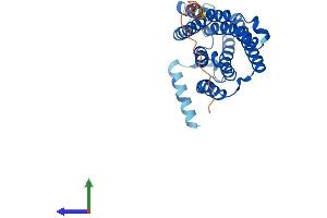 Protein Structure (PS) image for ELOVL Fatty Acid Elongase 2 (ELOVL2) (AA 1-292) protein (His tag) (ABIN7565117)