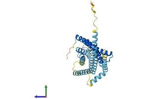 AlphaFold protein structure predicition of Mouse Recombinant Tas2r38 Protein, UniprotID Q7TQA6