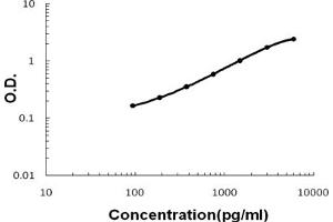 Sandwich ELISA - Recombinant rat Cardiac FABP protein standard curve.