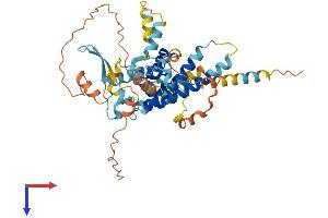 PPP1R36 Protein (AA 1-422) (His tag)