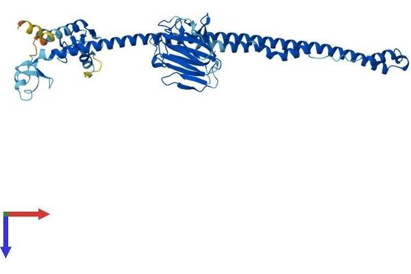 TRIM10 Protein (AA 1-481) (His tag)