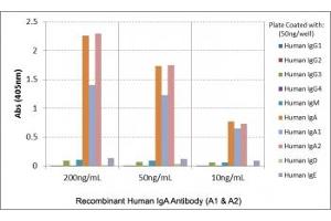 ELISA of human immunoglobulins shows the recombinant Human IgA antibody reacts to both IgA1 & IgA2. (Rekombinanter Kaninchen anti-Human IgA1,2 Antikörper)