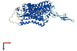 Slc6a14 Protein (AA 1-642) (His tag)