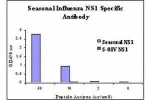 Image no. 1 for anti-Influenza Non Structural 1 antibody (Influenza A Virus H1N1) (ABIN478148) (Influenza A NS1 Antikörper)