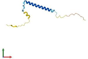 Protein Structure (PS) image for Chromosome 19 Open Reading Frame 53 (C19ORF53) (AA 1-94) protein (His tag) (ABIN7559665)
