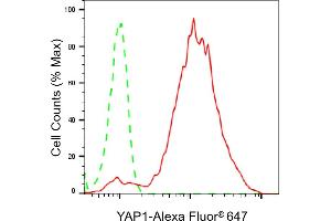 Flow cytometric analysis of YAP1 expression in HepG2 cells using YAP1 antibody (ABIN7800883), 1:2,000). (Rekombinanter YAP1 Antikörper)