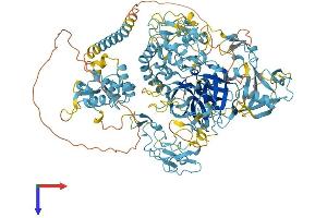 Corin Protein (AA 1-1042) (His tag)