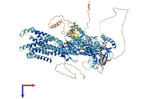 ATP8B3 Protein (AA 1-1335) (His tag)