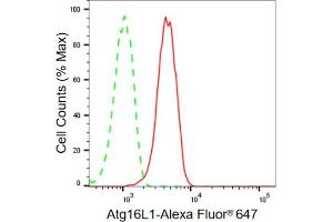 Flow cytometric analysis of Atg16L1 expression in HT- cells using Atg16L1 antibody (ABIN7797670), 1:2,000). (Rekombinanter ATG16L1 Antikörper)