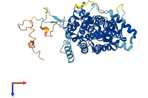 SESN1 Protein (AA 1-492) (His tag)