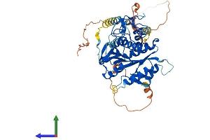Protein Structure (PS) image for Autophagy related 4D Cysteine Peptidase (ATG4D) (AA 1-474) protein (His tag) (ABIN7564346)
