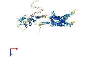 KCNG4 Protein (AA 1-506) (His tag)