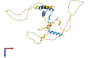 OTP Protein (AA 1-325) (His tag)