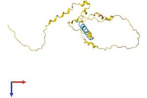 AlphaFold protein structure predicition of Human Recombinant C19orf84 Protein, UniprotID I3L1E1 (C19orf84 Protein (AA 1-186) (His tag))
