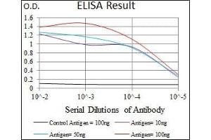 Black line: Control Antigen (100 ng), Purple line: Antigen(10 ng), Blue line: Antigen (50 ng), Red line: Antigen (100 ng), (APP Antikörper  (AA 483-699))