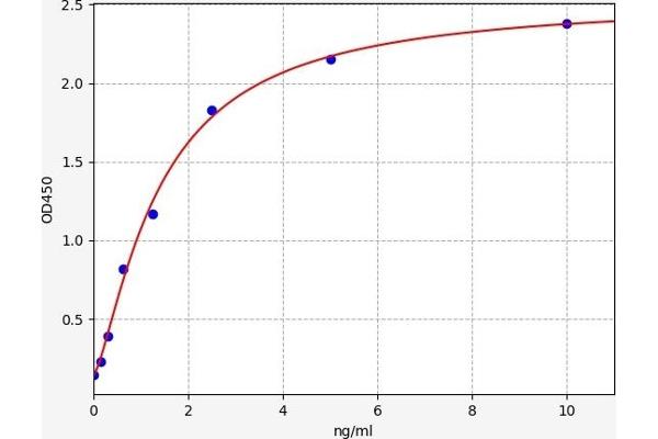 FOXO3 ELISA Kit