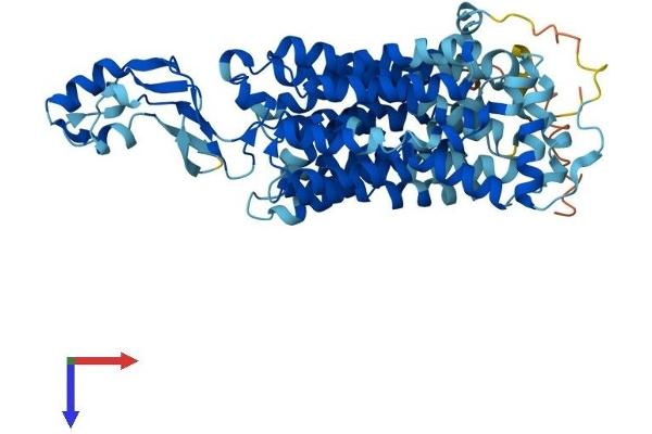 SLC22A4 Protein (AA 1-551) (His tag)
