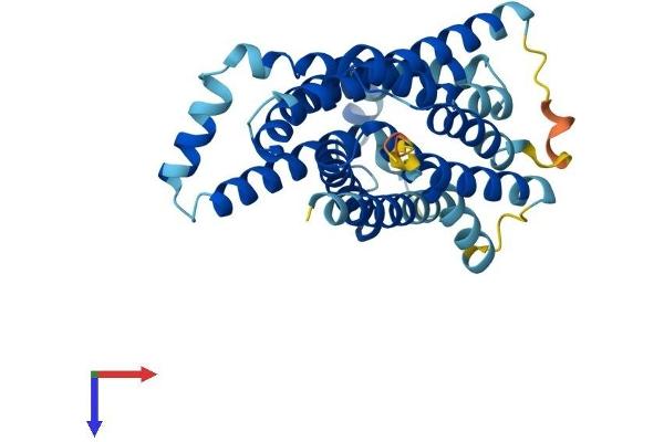 SLC35A3 Protein (AA 1-326) (His tag)