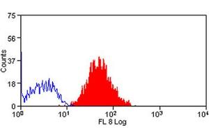 Image no. 1 for anti-Basigin (Ok Blood Group) (BSG) antibody (APC) (ABIN576874) (CD147 Antikörper  (APC))