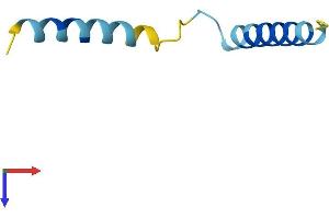 SERF2 Protein (AA 1-59) (Fc Tag)
