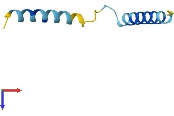 SERF2 Protein (AA 1-59) (Fc Tag)