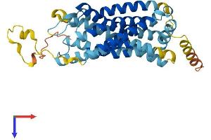 CXCR1 Protein (AA 1-351) (His tag)