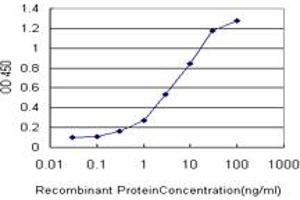 ELISA image for anti-serine/threonine Kinase 38 (STK38) (AA 365-465) antibody (ABIN7199721)