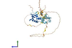 AlphaFold protein structure predicition of Mouse Recombinant Elf3 Protein, UniprotID Q3UPW2