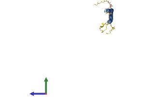 Protein Structure (PS) image for Synaptonemal Complex Central Element Protein 2 (SYCE2) (AA 1-218) protein (His tag) (ABIN7544056)