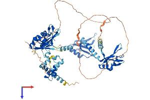 AlphaFold protein structure predicition of Human Recombinant PABPC3 Protein, UniprotID Q9H361
