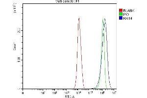 Flow Cytometry analysis of PC-3 cells using anti-RAI14 antibody (ABIN7601980). (RAI14 Antikörper  (AA 53-680))