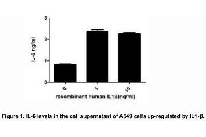 Image no. 1 for Interleukin 1, beta (IL1B) (AA 117-269) (Active) protein (His tag) (ABIN6239756)